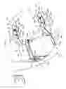 Fig. 02 - Vehicle rear portion structure