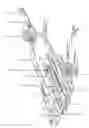 Fig. 02 - Boat Trailer & Method for Securing Boat Thereto