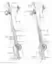 Fig. 06 - Boat Trailer & Method for Securing Boat Thereto
