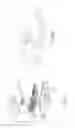 Fig. 11 - Vehicular camera system