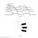 Fig. 06 - SENSING DEVICE, SENSING SYSTEM AND STEERING SYSTEM