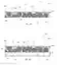 Fig. 02 - PAGOPHOBIC COATING COMPOSITIONS, METHOD OF MANUFACTURE AND METHODS OF USE
