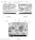 Fig. 04 - PAGOPHOBIC COATING COMPOSITIONS, METHOD OF MANUFACTURE AND METHODS OF USE