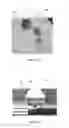 Fig. 07 - PAGOPHOBIC COATING COMPOSITIONS, METHOD OF MANUFACTURE AND METHODS OF USE