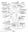 Fig. 05 - Multi-purpose expandable complex providing maintenance, manufacturing, assemblage complex with external space dock