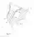 Fig. 41 - Process and apparatus for the treatment or processing of containers for substances for medical pharmaceutical or cosmetic applications