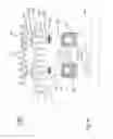 Fig. 48 - Process and apparatus for the treatment or processing of containers for substances for medical pharmaceutical or cosmetic applications