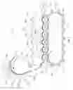 Fig. 04 - Three-Dimensional Article Having Transfer Material Thereon