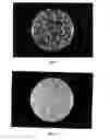 Fig. 07 - ANTIBACTERIAL WATER-PRESERVING CONTAINER AND METHOD OF MANUFACTURING THE SAME