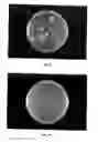 Fig. 08 - ANTIBACTERIAL WATER-PRESERVING CONTAINER AND METHOD OF MANUFACTURING THE SAME