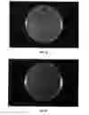 Fig. 11 - ANTIBACTERIAL WATER-PRESERVING CONTAINER AND METHOD OF MANUFACTURING THE SAME