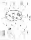 Fig. 31 - POST-MIX BEVERAGE SYSTEM