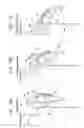 Fig. 14 - Sheet stacking device