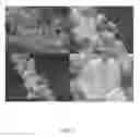 Fig. 06 - Systems and methods for growth of nanostructures on substrates, including substrates comprising fibers