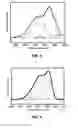 Fig. 04 - Nanostructured titania semiconductor material and its production process