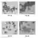 Fig. 09 - Near infrared absorbing agent and method of making near infrared absorbing agent