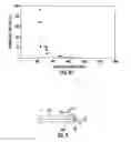Fig. 07 - Machining methods of forming laminated glass structures