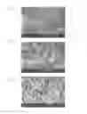 Fig. 05 - HEAT-RESISTANT ROLL, PRODUCTION METHOD THEREOF, AND METHOD OF PRODUCING SHEET GLASS USING HEAT-RESISTANT ROLL