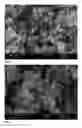 Fig. 05 - Dehydration-hydrolysis processes and catalysts therefor