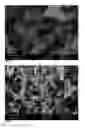 Fig. 06 - Dehydration-hydrolysis processes and catalysts therefor
