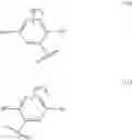 Fig. 141 - Compound