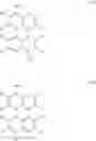 Fig. 41 - Cyanated perylene compounds