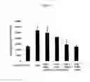 Fig. 07 - Compounds as anti-tubercular agents