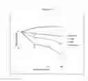 Fig. 11 - Compounds as anti-tubercular agents