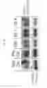 Fig. 05 - BICYCLIC HETEROCYCLES CAPABLE OF MODULATING T-CELL RESPONSES, AND METHODS OF USING SAME