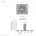 Fig. 07 - BICYCLIC HETEROCYCLES CAPABLE OF MODULATING T-CELL RESPONSES, AND METHODS OF USING SAME