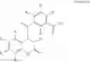 Fig. 22 - Selective inhibitors interfering with fibroblast growth factor receptor and FRS2 interaction for the prevention and treatment of cancer and other diseases