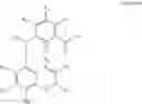 Fig. 24 - Selective inhibitors interfering with fibroblast growth factor receptor and FRS2 interaction for the prevention and treatment of cancer and other diseases