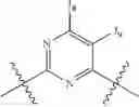 Fig. 32 - Human androgen receptor DNA-binding domain (DBD) compounds as therapeutics and methods for their use