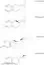Fig. 52 - Method for producing nebivolol hydrochloride of high purity