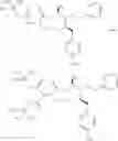 Fig. 37 - MACROCYCLIC PICOLINAMIDES COMPOUNDS WITH FUNGICIDAL ACTIVITY