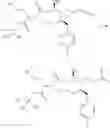 Fig. 40 - MACROCYCLIC PICOLINAMIDES COMPOUNDS WITH FUNGICIDAL ACTIVITY