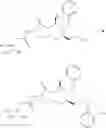 Fig. 55 - MACROCYCLIC PICOLINAMIDES COMPOUNDS WITH FUNGICIDAL ACTIVITY
