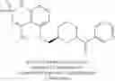 Fig. 162 - Sweet flavor modifier