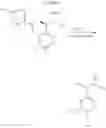 Fig. 67 - TRPV1 antagonists including dihydroxy substituent and uses thereof