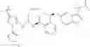 Fig. 15 - Kinase inhibitors