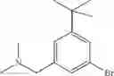 Fig. 204 - Kinase inhibitors