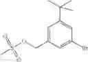 Fig. 205 - Kinase inhibitors