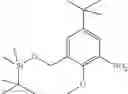 Fig. 25 - Kinase inhibitors