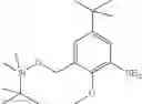 Fig. 26 - Kinase inhibitors