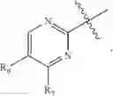 Fig. 41 - Compounds and compositions as inhibitors of MEK
