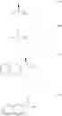 Fig. 35 - Expedient synthesis of sitagliptin