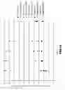 Fig. 13 - METHOD FOR PRODUCING SUCROSE FATTY ACID ESTER
