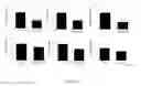 Fig. 06 - NOVEL PEPTIDES FOR PREVENTING OR TREATING BONE DISEASES AND USE THEREOF