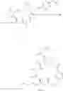 Fig. 49 - Process for the preparation of cyclic depsipeptides