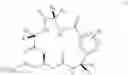 Fig. 65 - Process for the preparation of cyclic depsipeptides